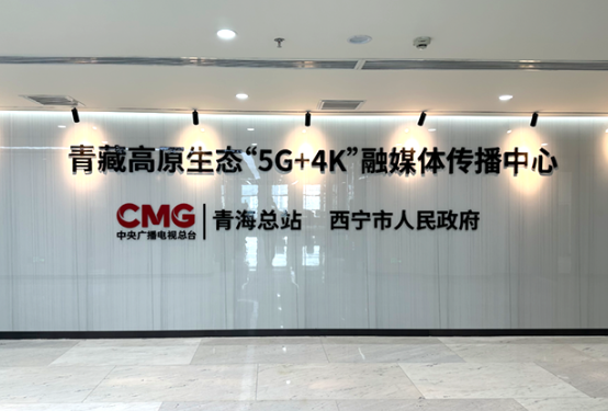 中央廣播電視總臺（青海總站）地毯